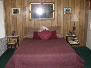 Nature's Inn Bear Room Queen Size Bed